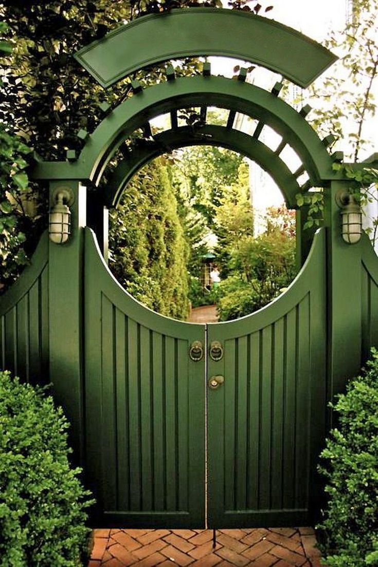 Гарден гейт (Garden Gate) плетистая