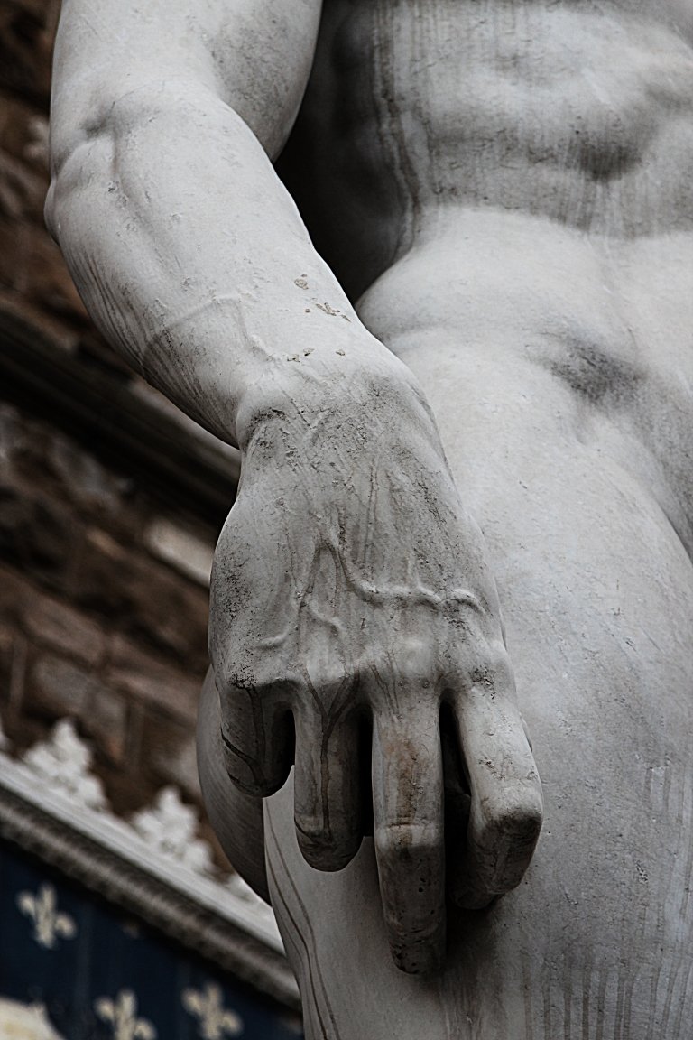 Экорше анатомия