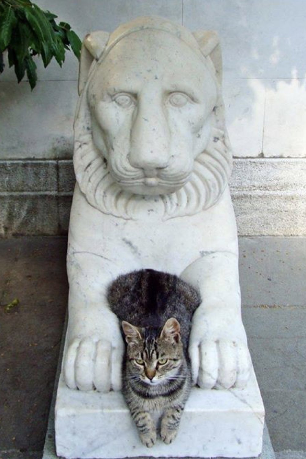 Кот сидит скульптура