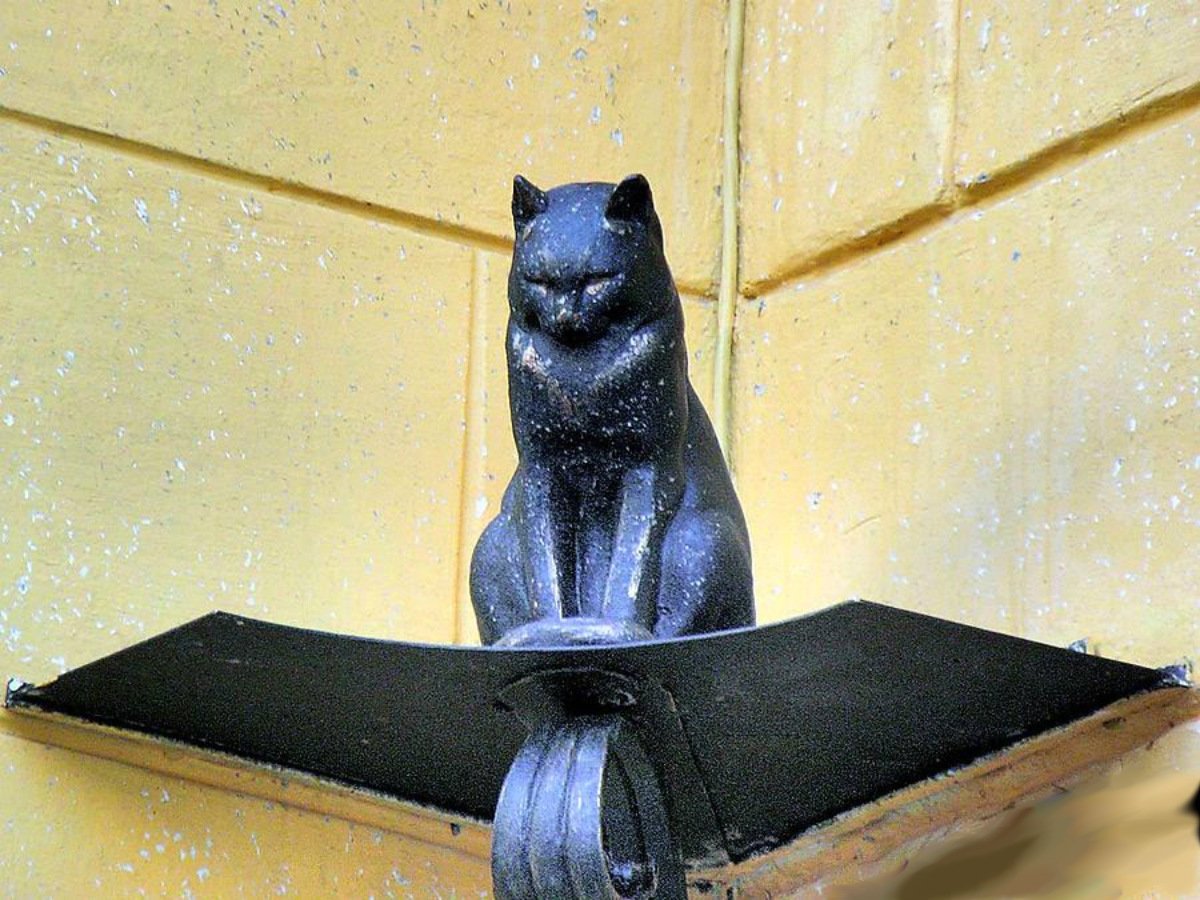 Кот Елисей и кошка Василиса в Санкт-Петербурге