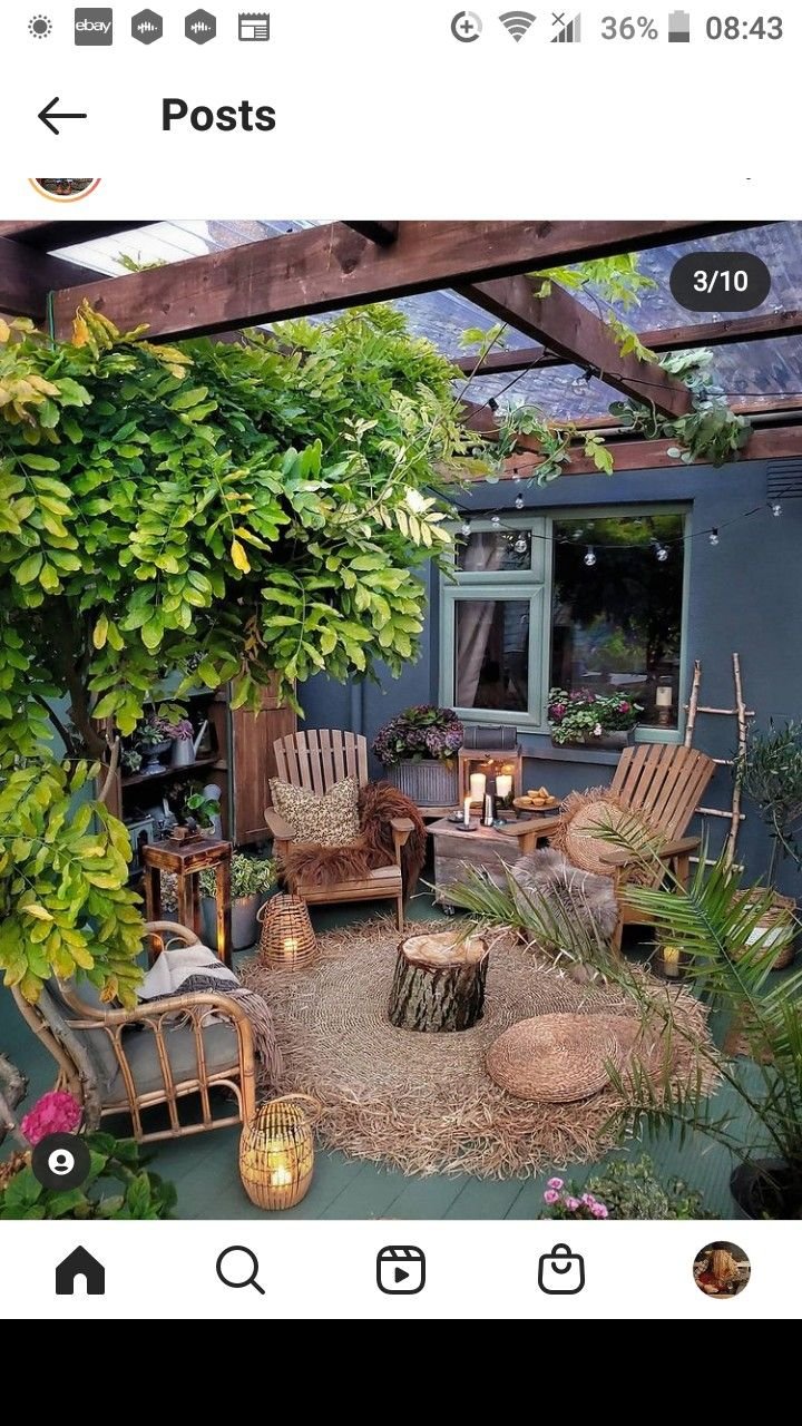 Jagaer 56 Plants