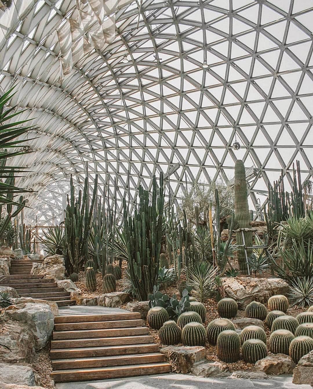 Ботанический сад Botanical Garden