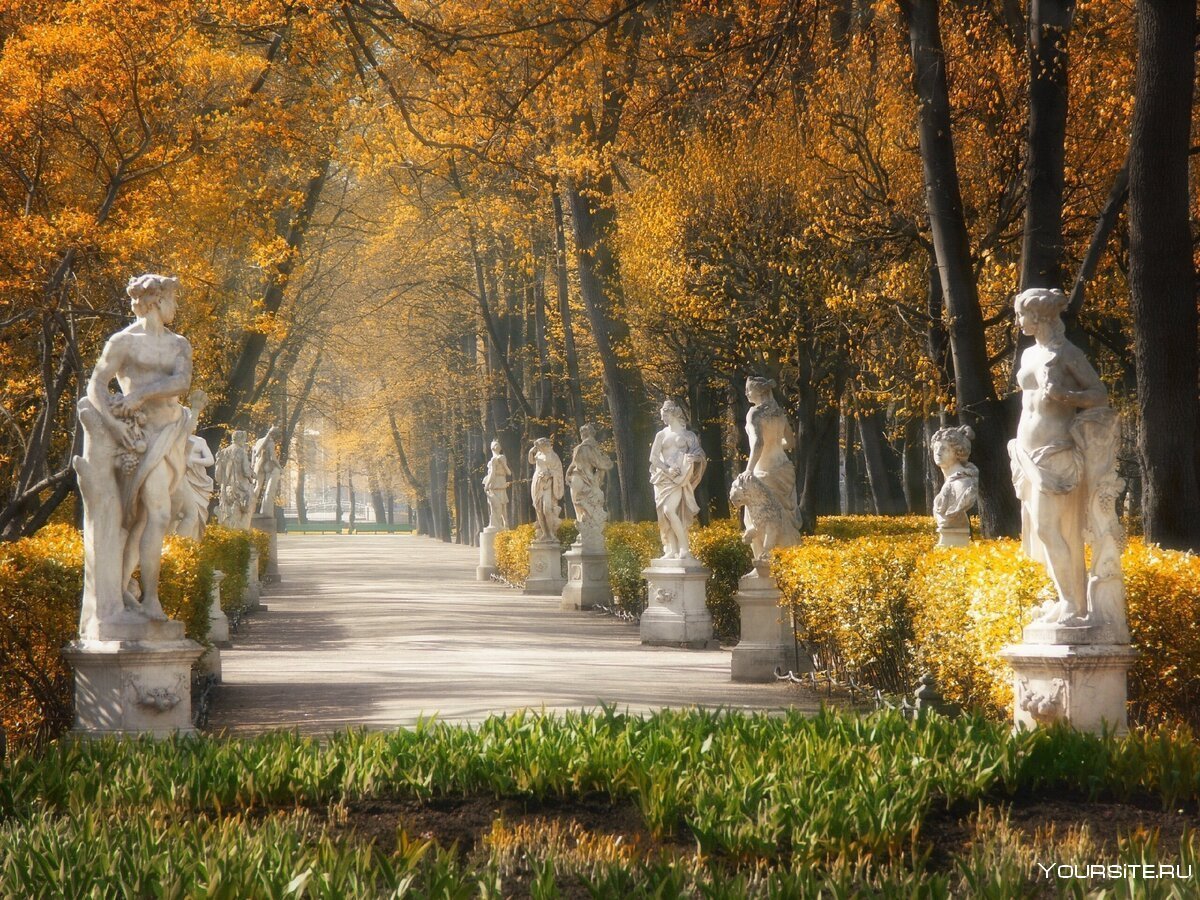 Аллеи летнего сада в Санкт-Петербурге