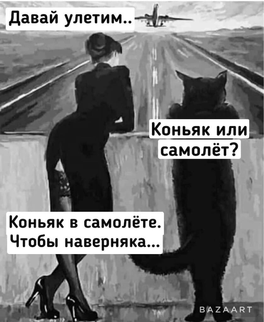 Давай улетим самолет или коньяк картинка