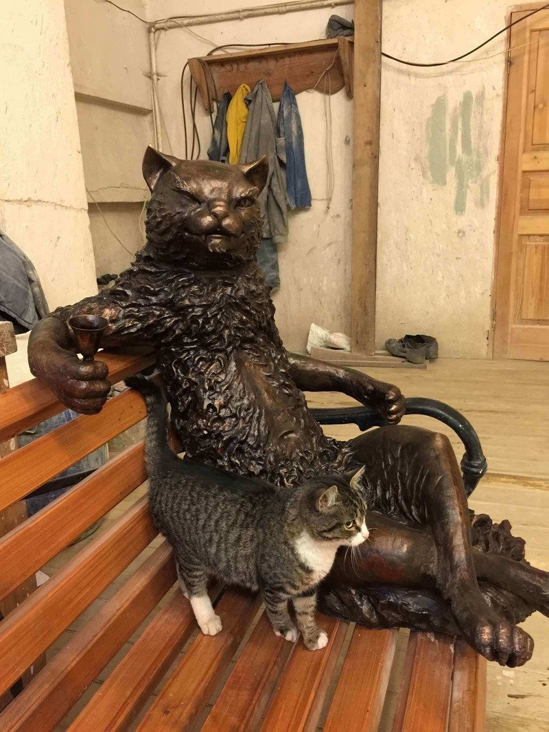 Кот Булгакова флюшка
