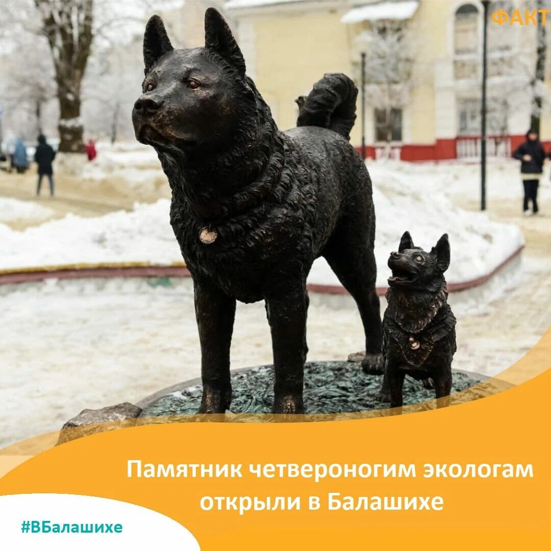 Памятник собаке в Балашихе