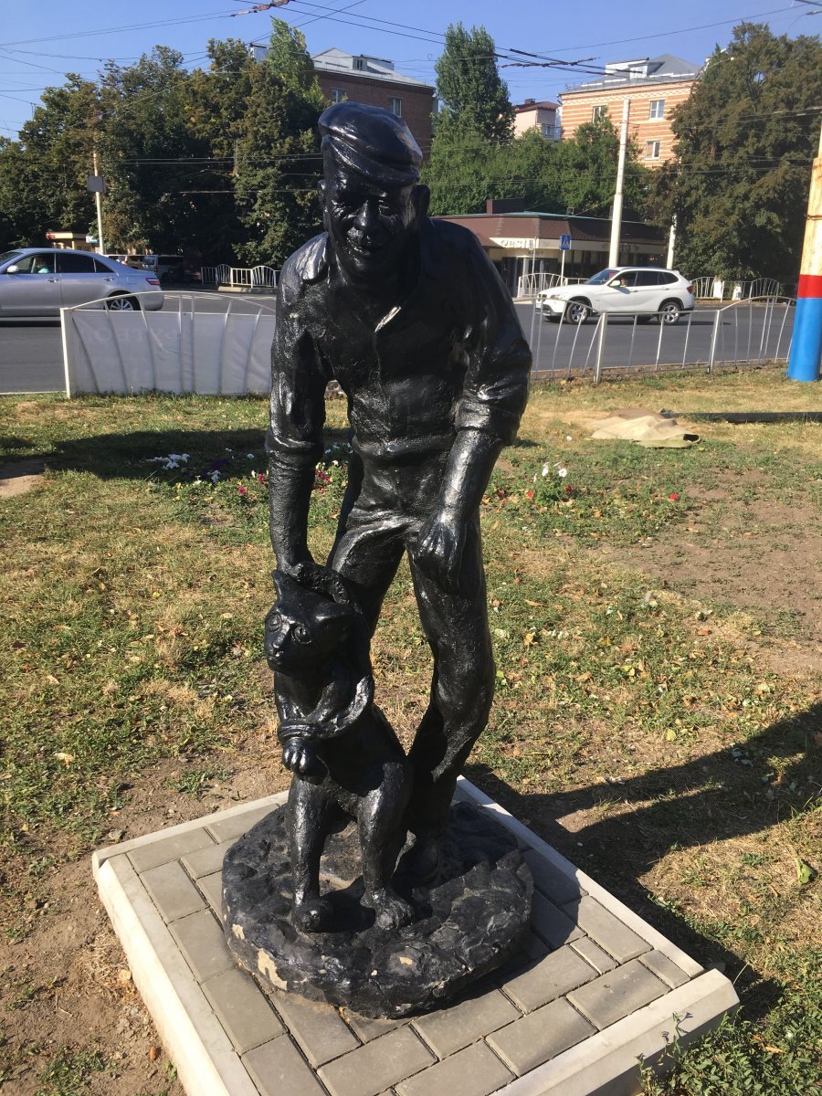 Армавир кот Бегемот