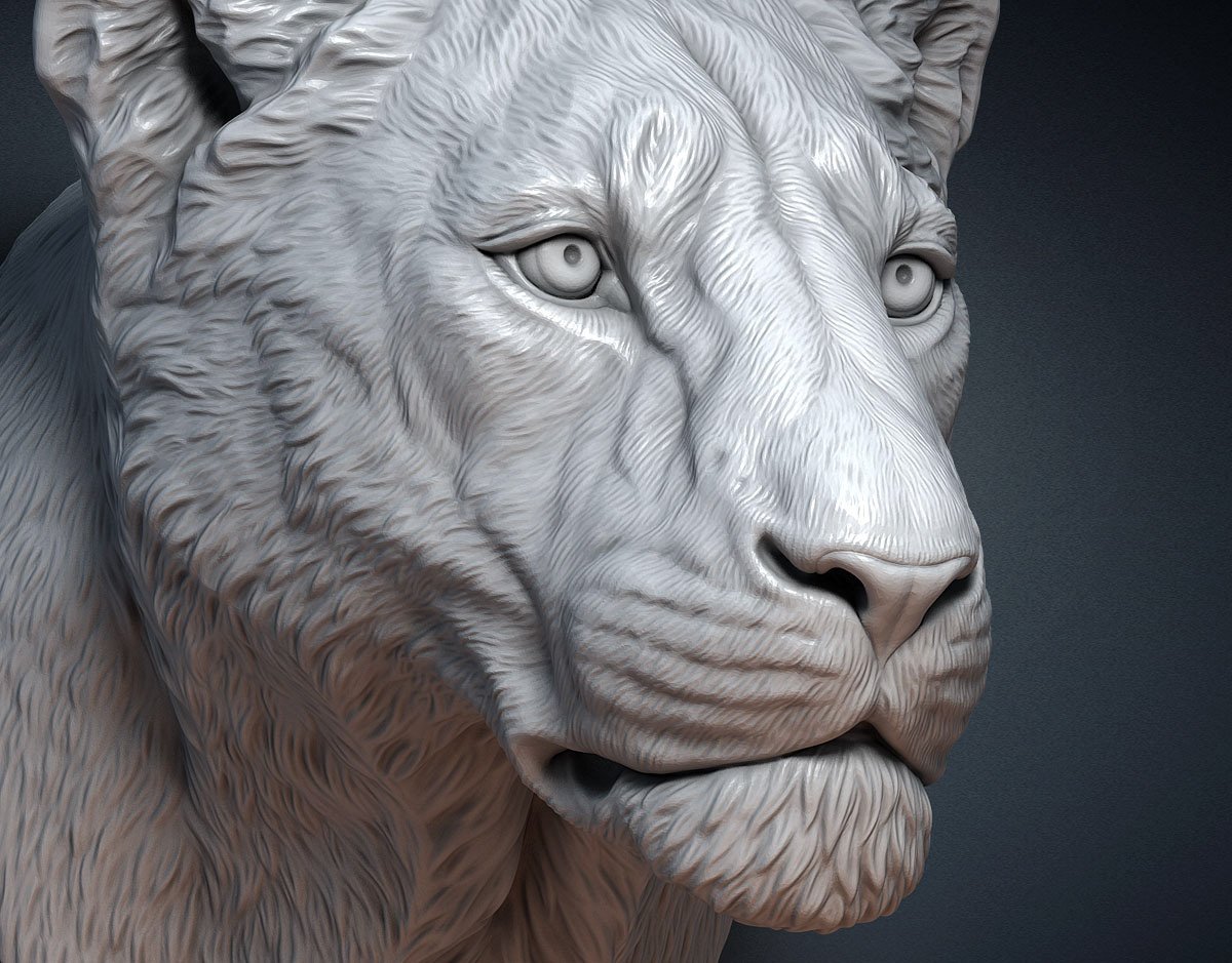 Тигр Zbrush