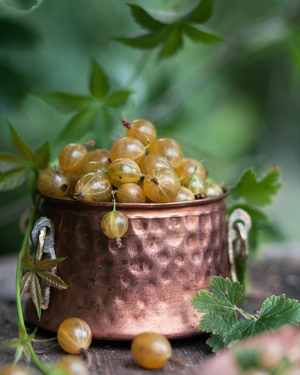 Кружки с крыжовником