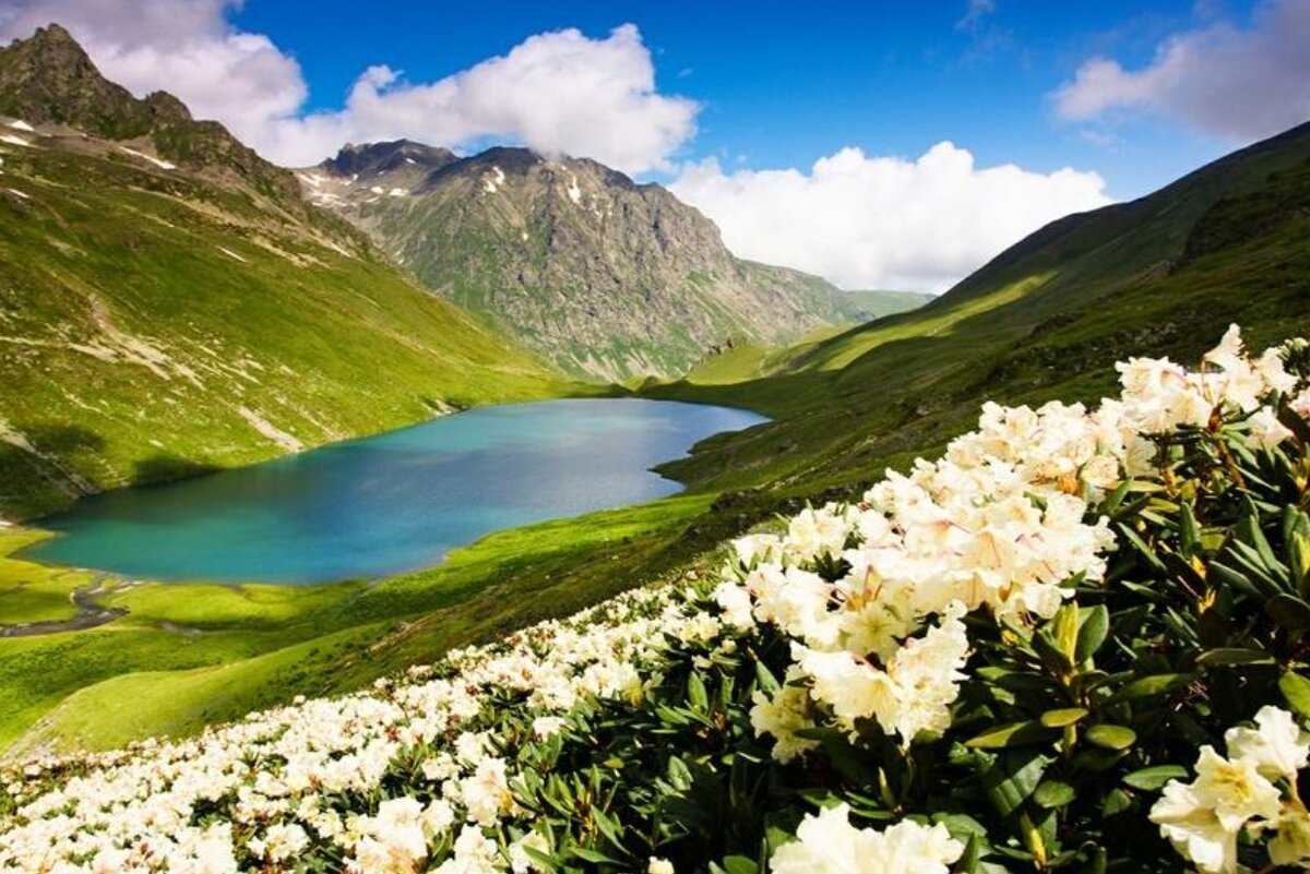Природа закавказья