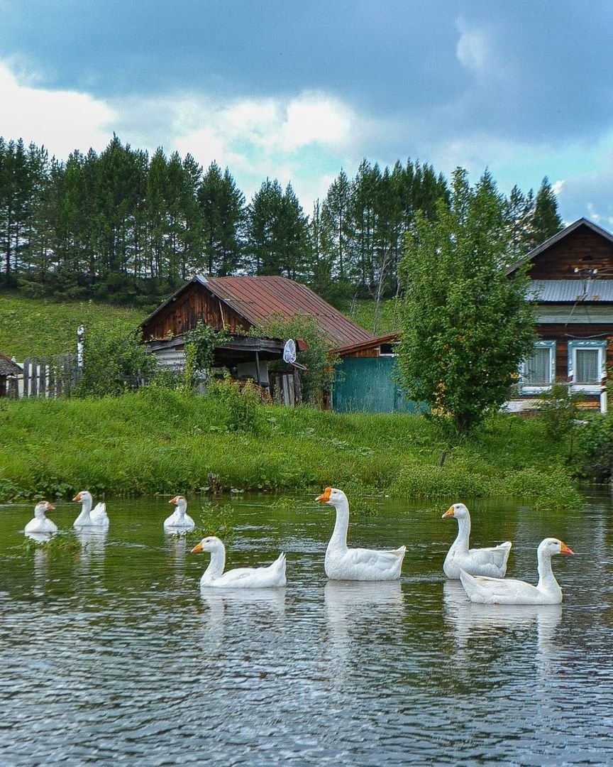 Щедрая природа
