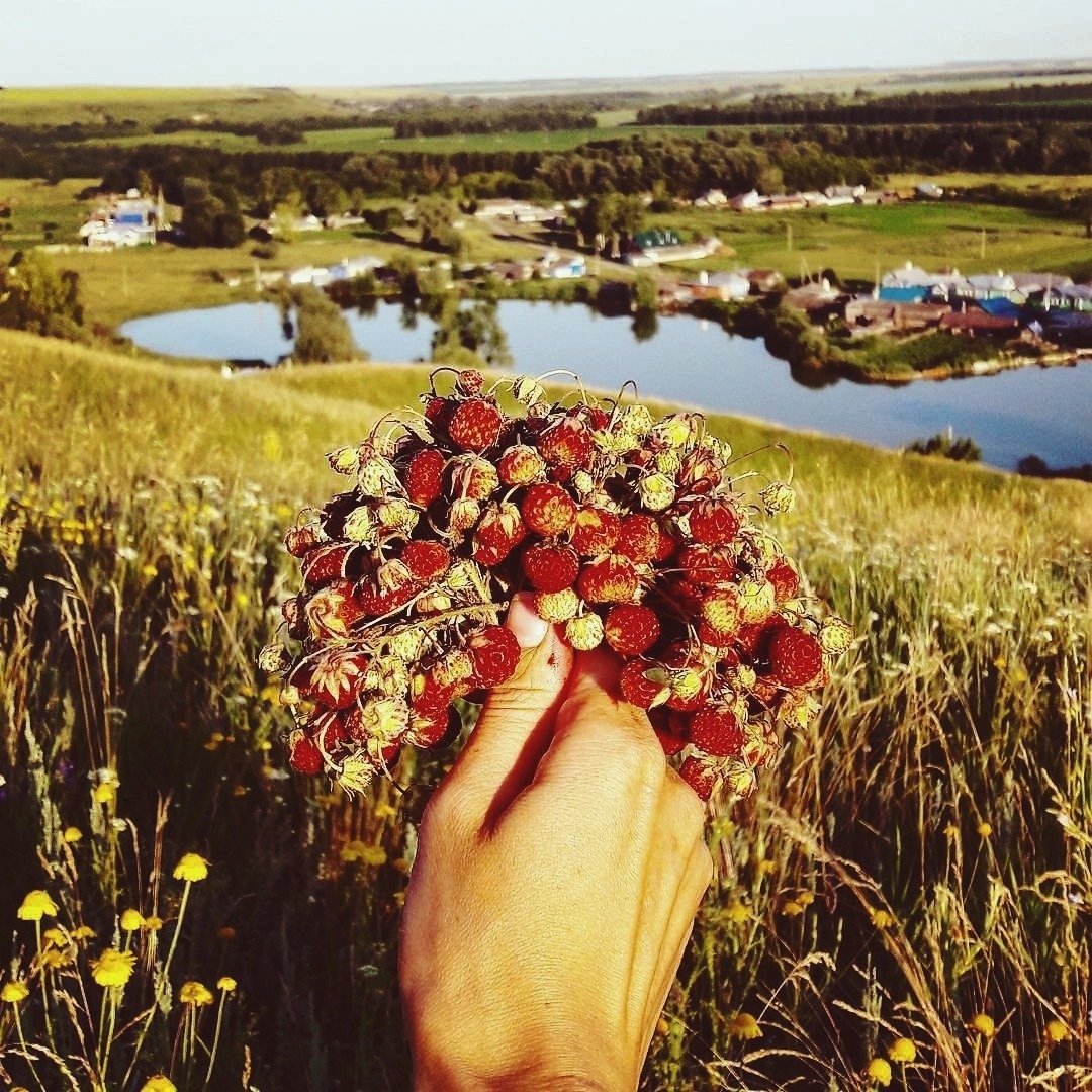 Счастливое растение