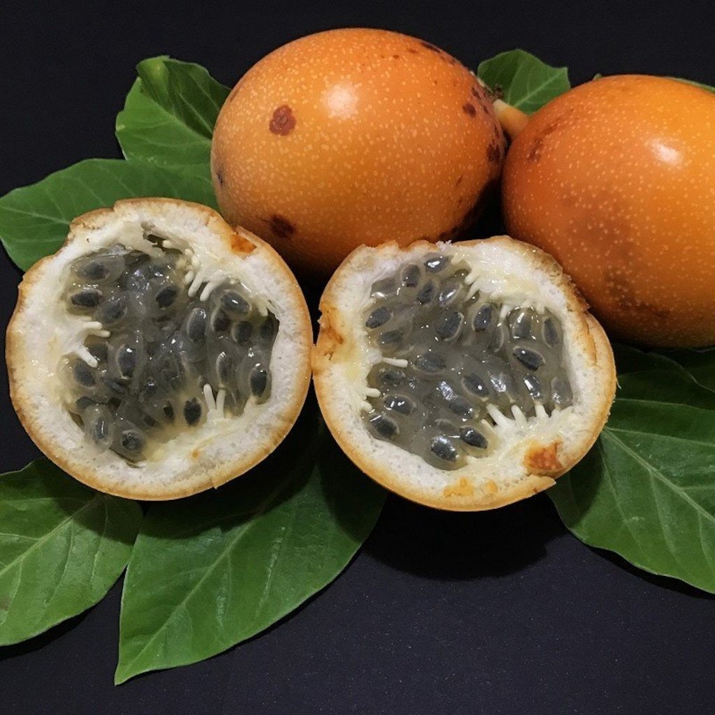 Маракуйя Северная