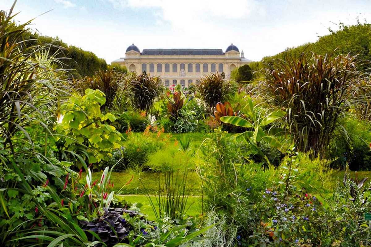 Ботанический сад в Париже Jardin des plantes