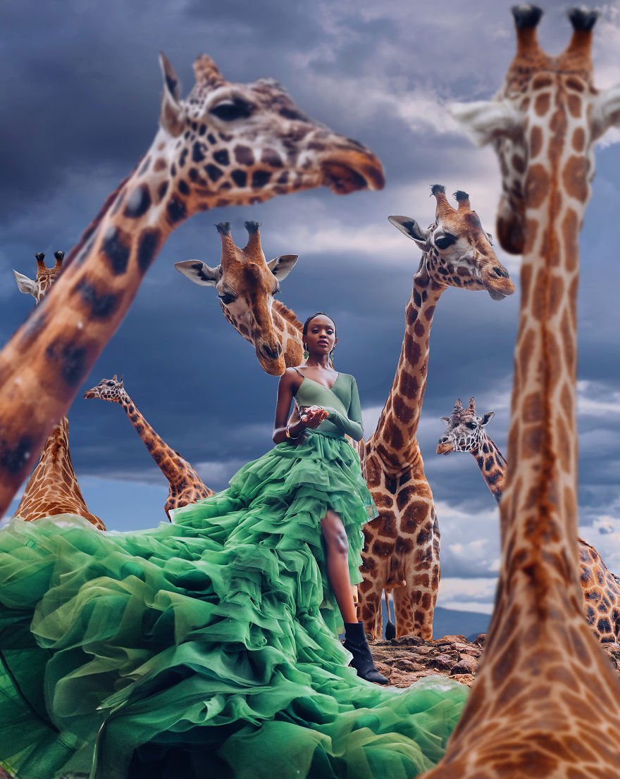 Кристина Макеева фотоработы Фламинго