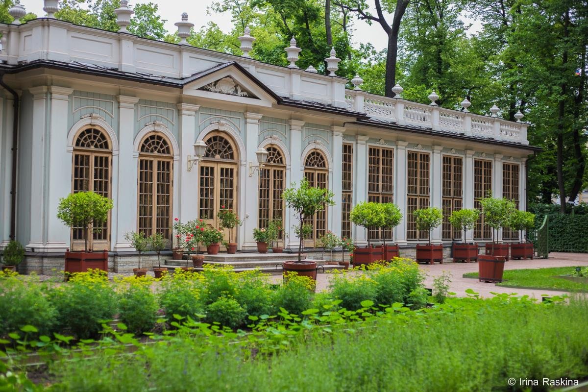 Летний сад Алтай