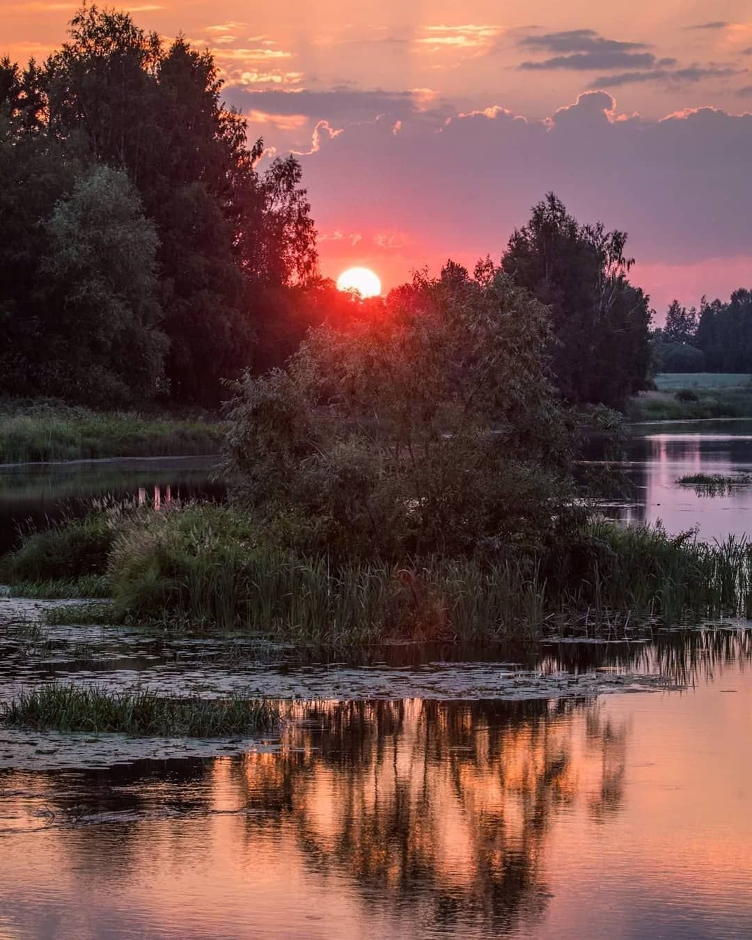 Природа вечер
