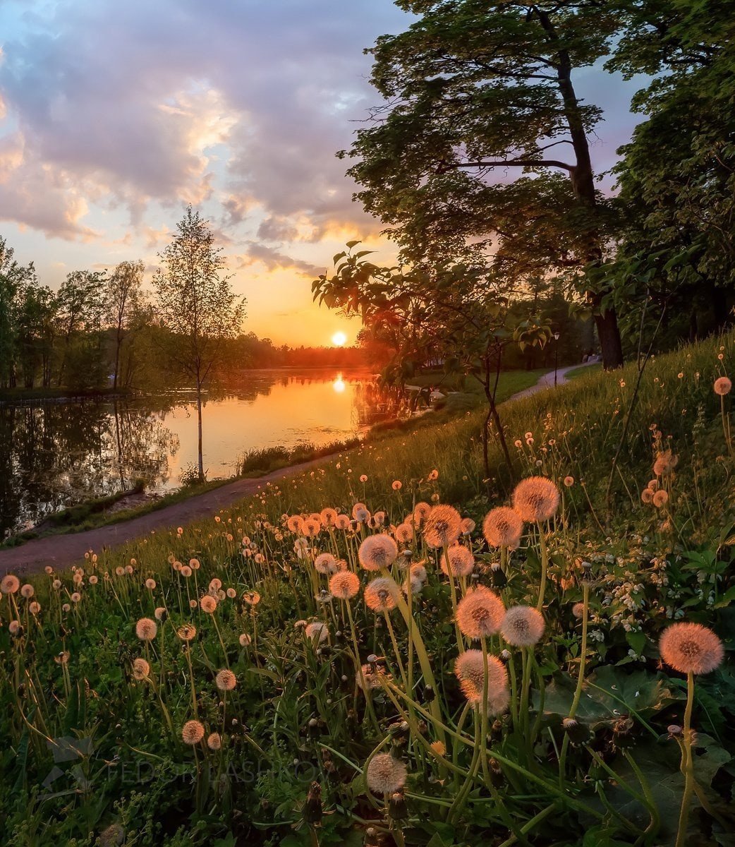 Фёдор Лашков фотограф река