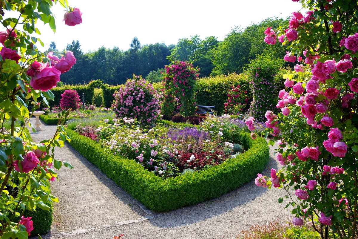 Хелен парк+ ландшафт