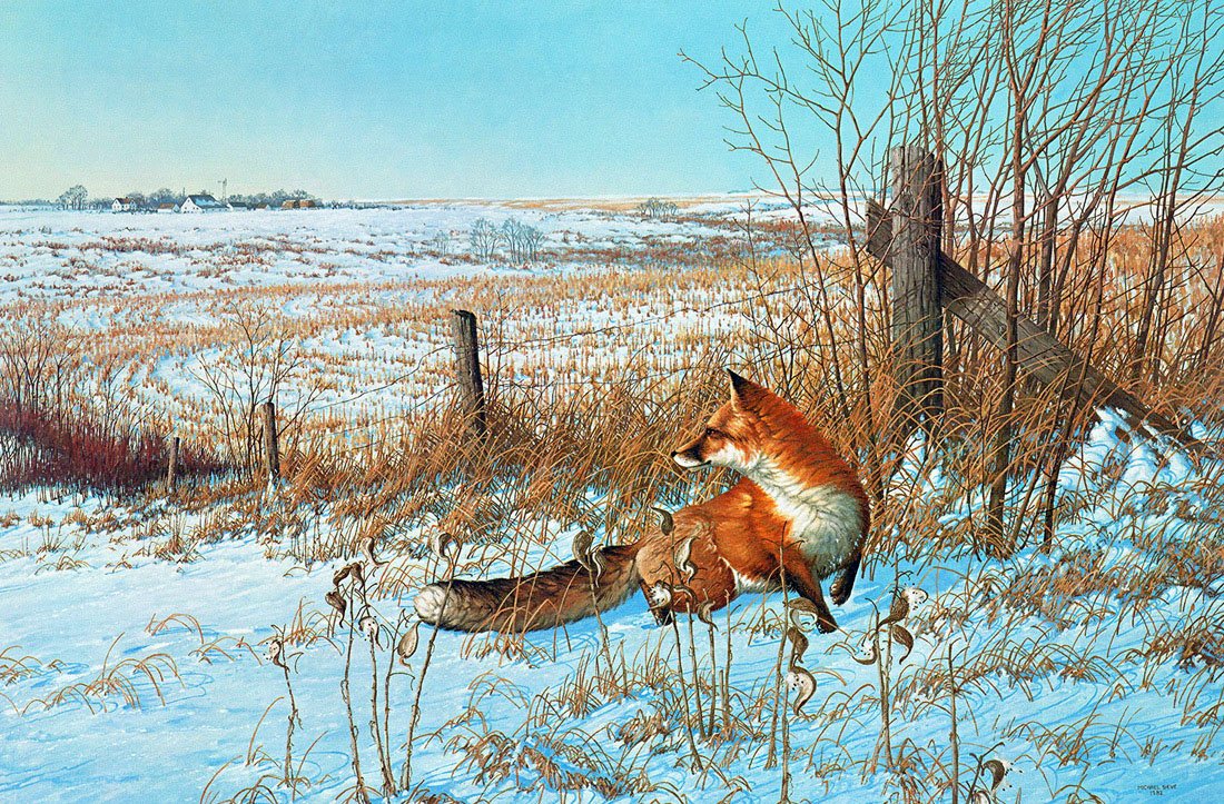 Michael Sieve картины