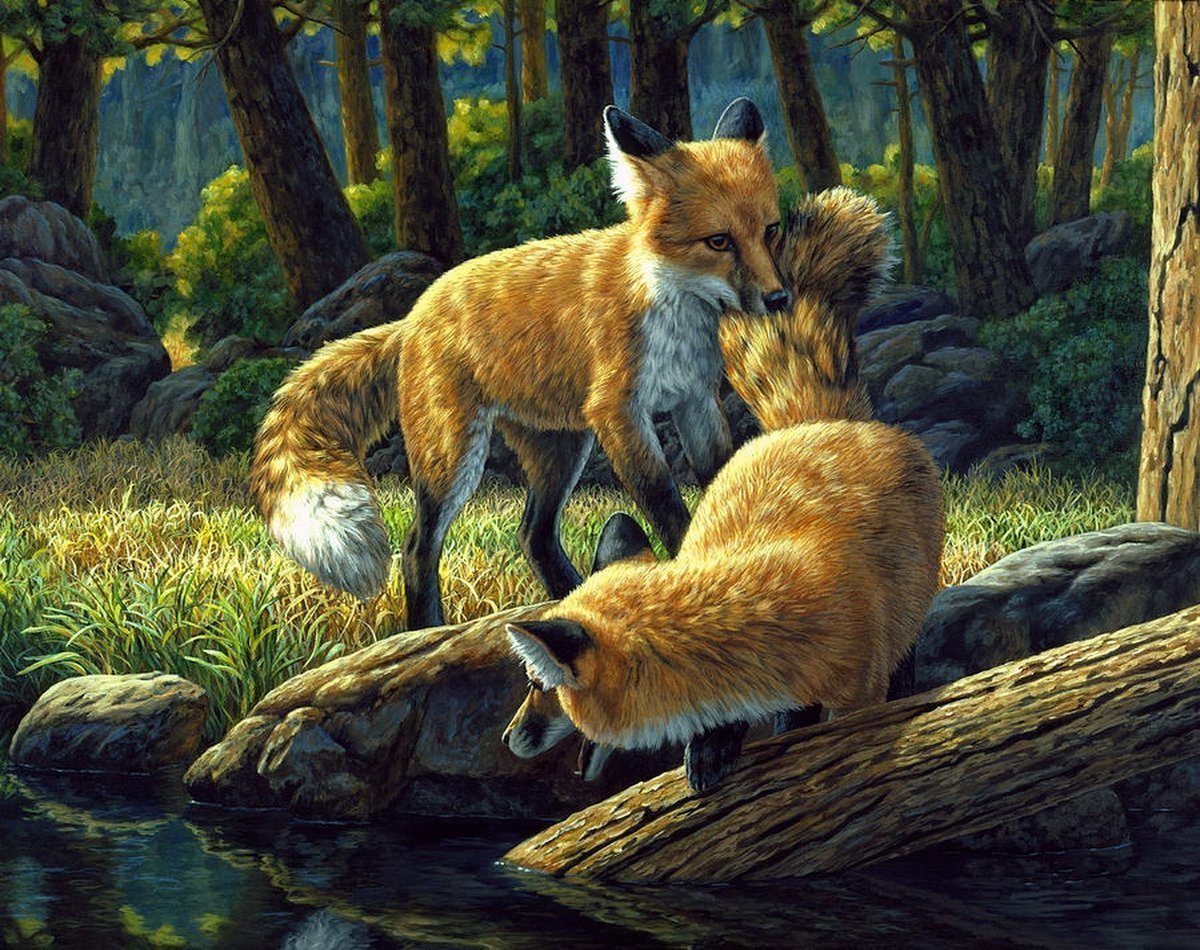 Американская художница Crista Forest картины