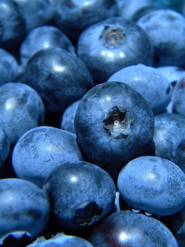 Blueberry Bilberry