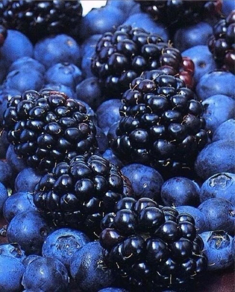 Bilberry BLACKBERRY Blueberry