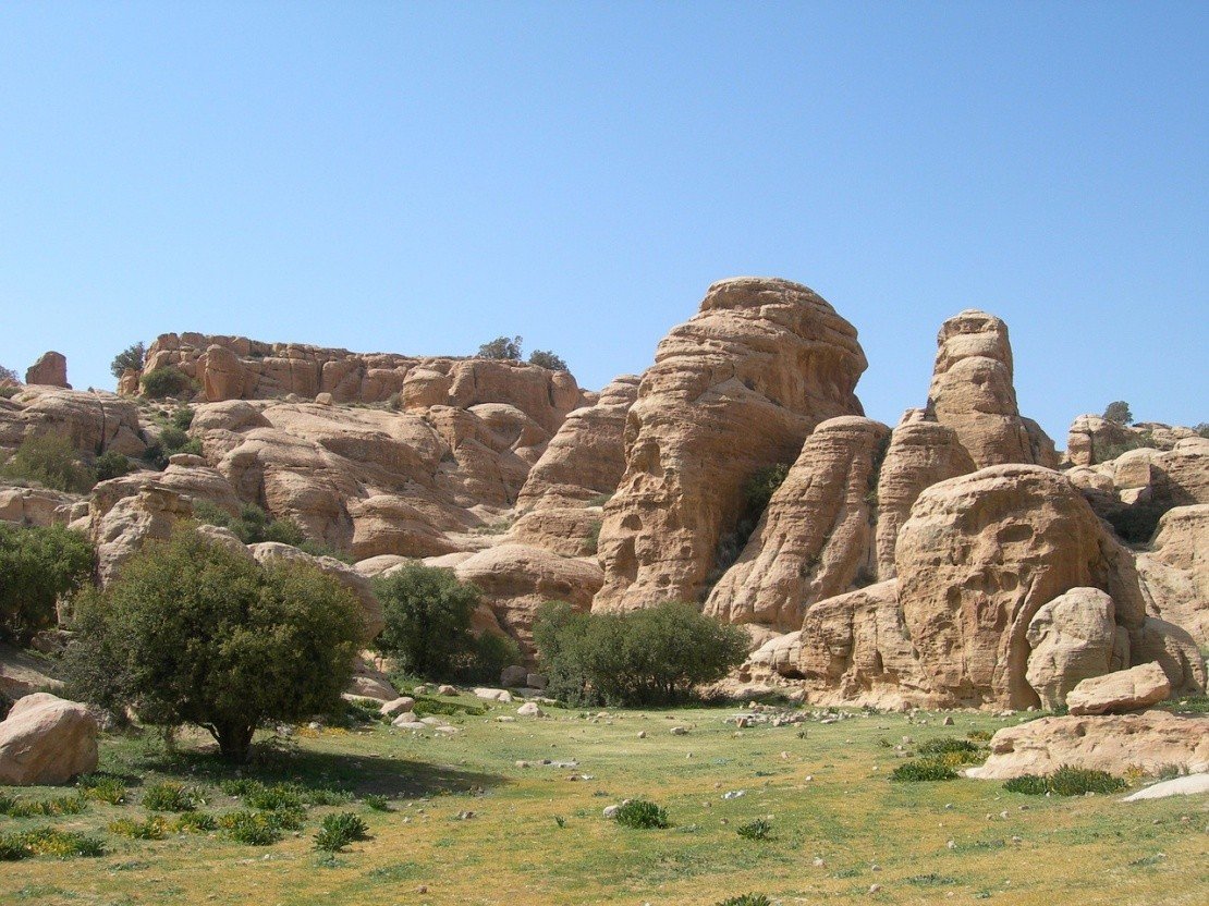 Флора Иордании