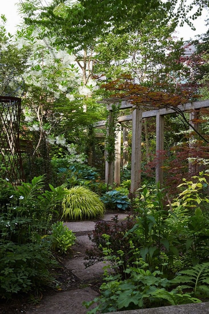 Gardenista