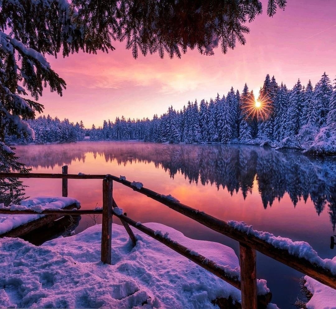 Озеро в лесу зимой