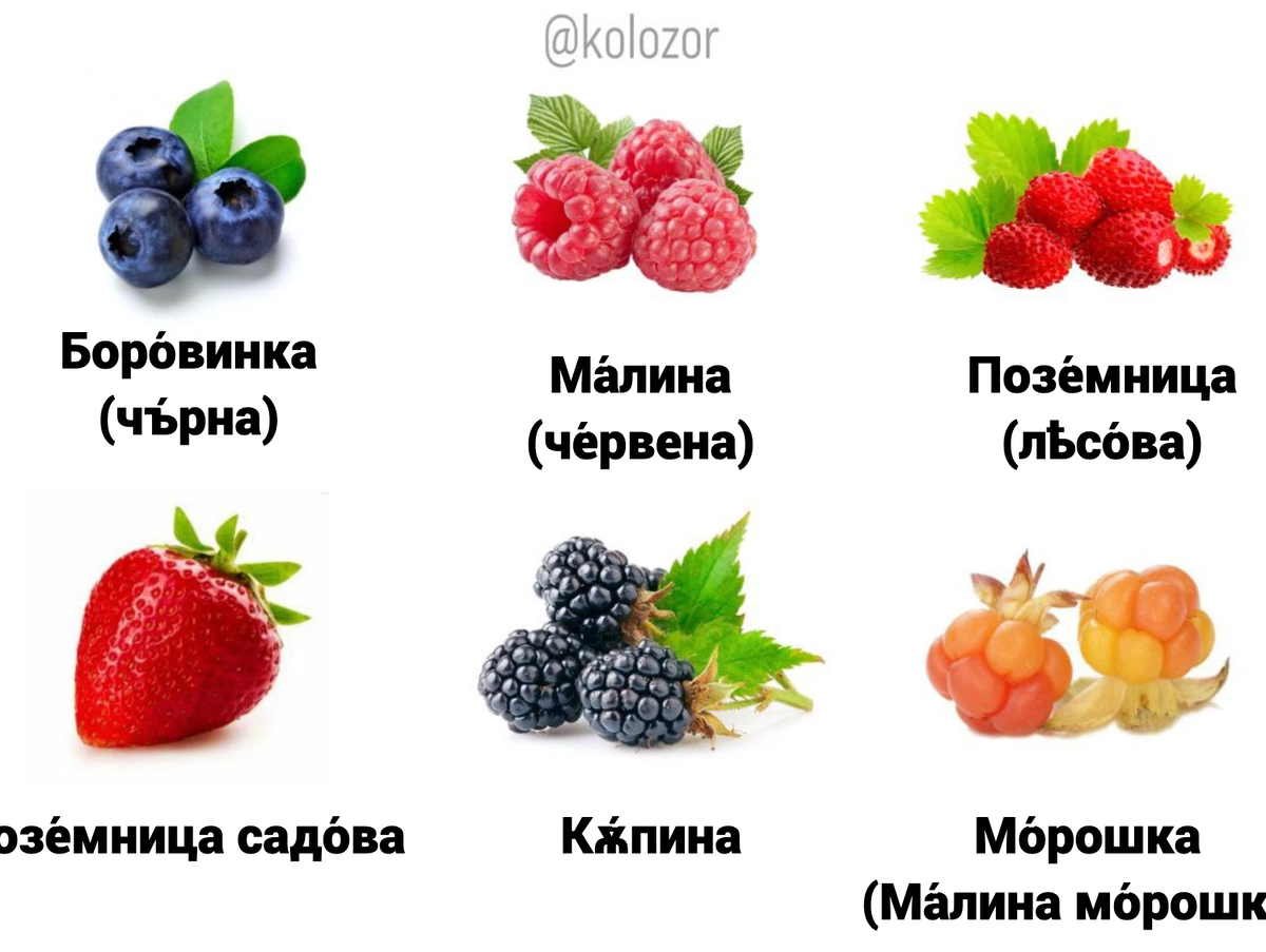 Все ягоды на земле