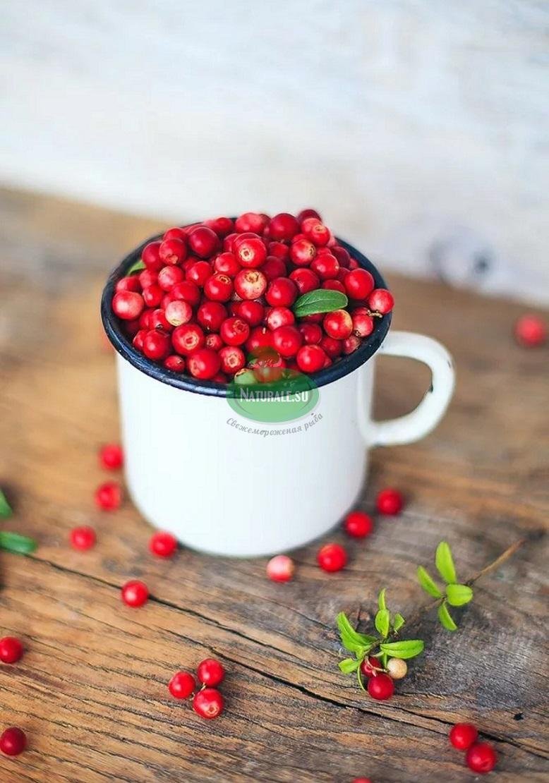 Красная брусника