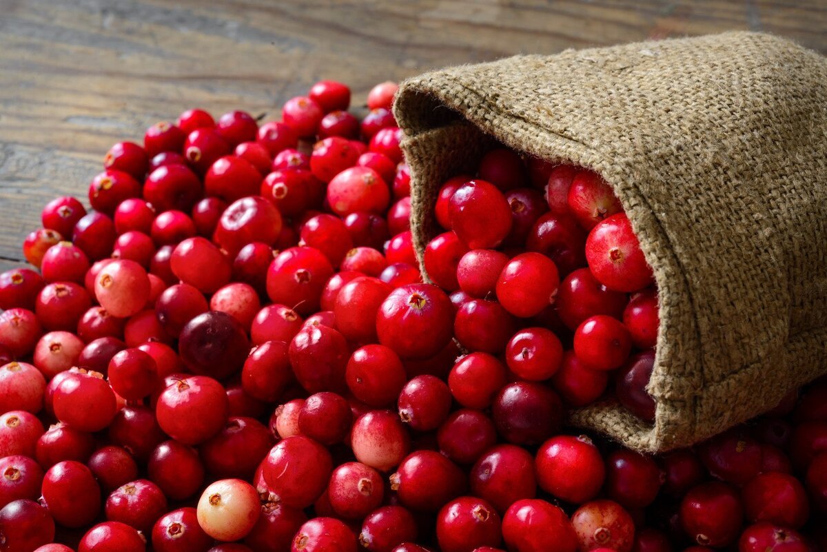 Cranberries ягода