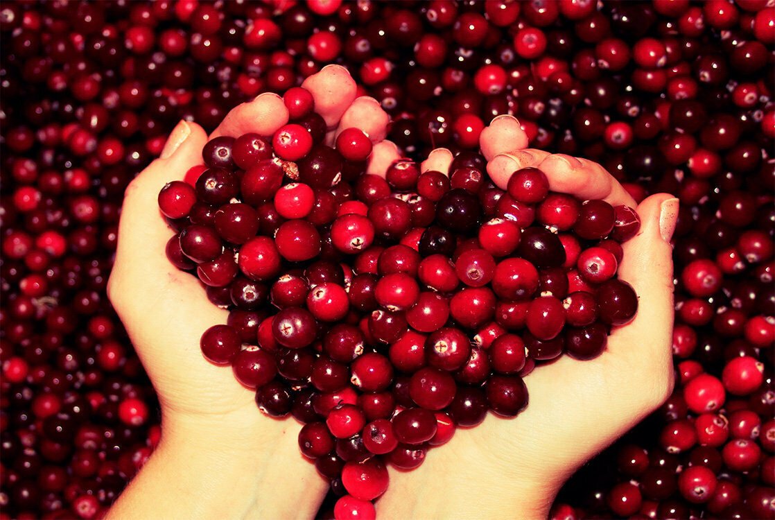 Cranberries ягода