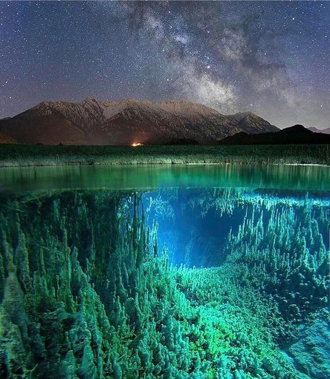 Завораживающая красота