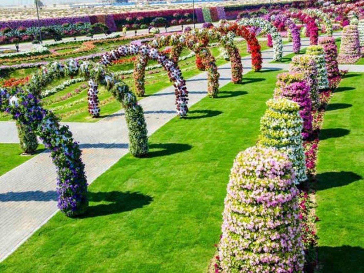 Dubai Miracle Garden амфитеатр