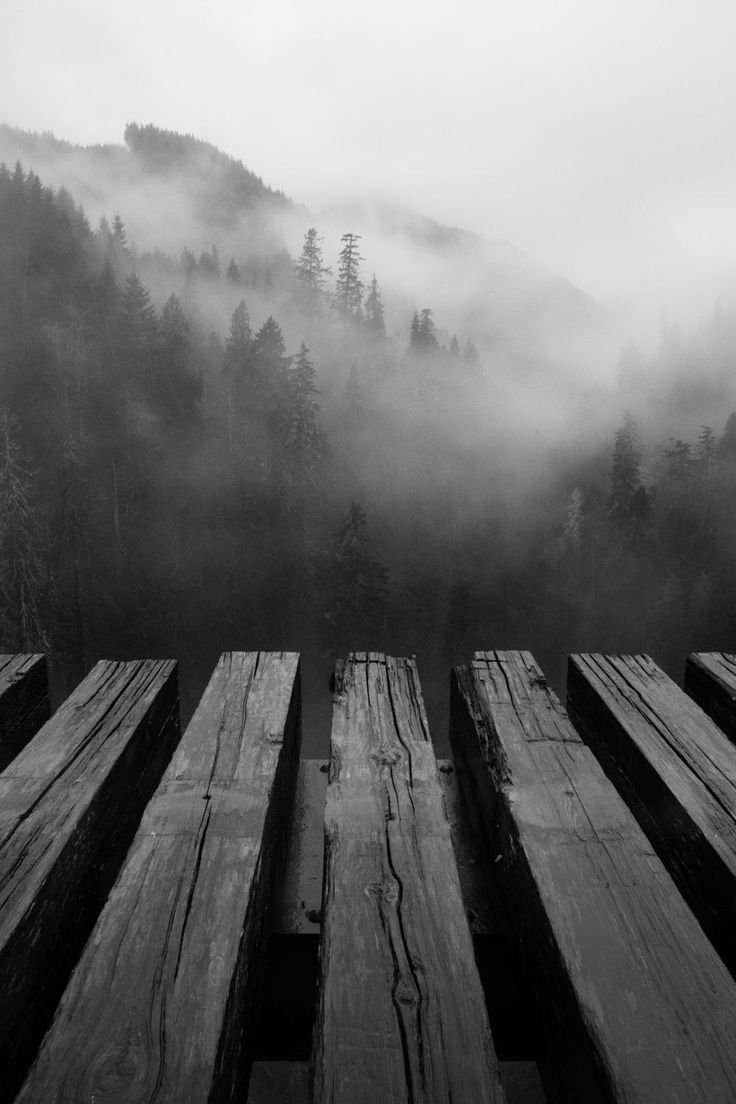 Чёрно-белая природа