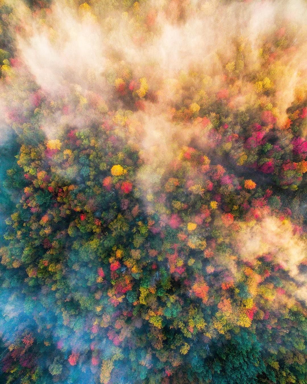 Fall Colors