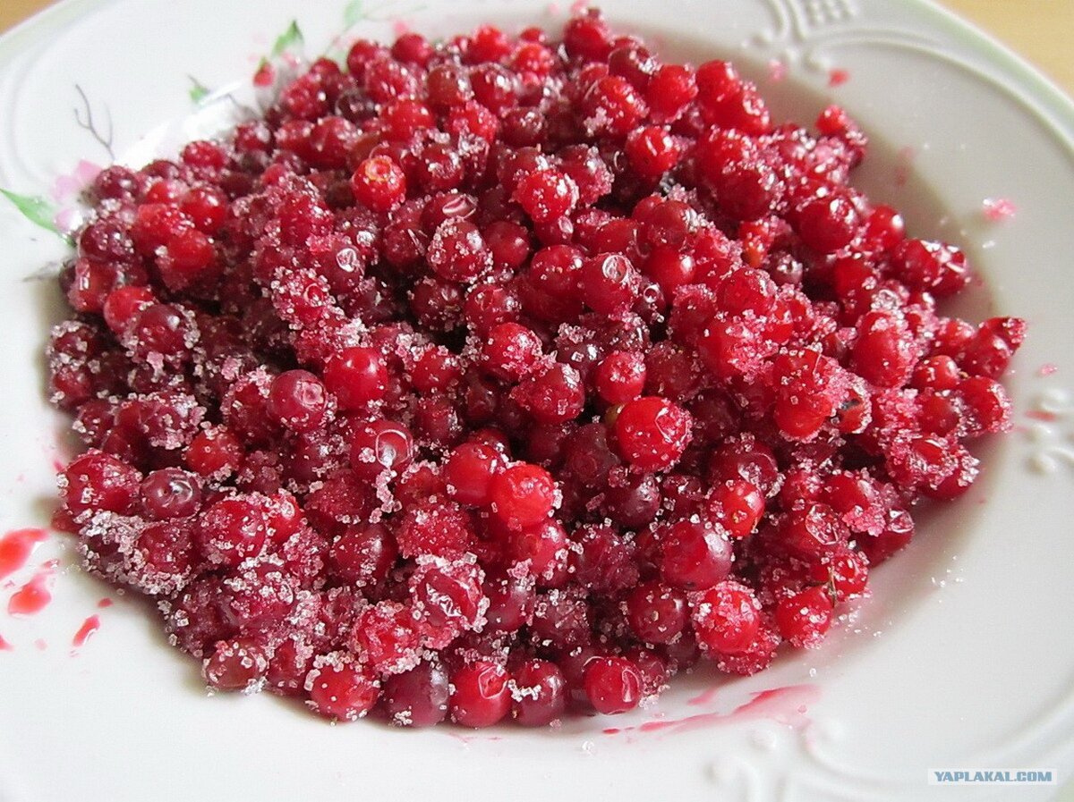 Засахаренная брусника