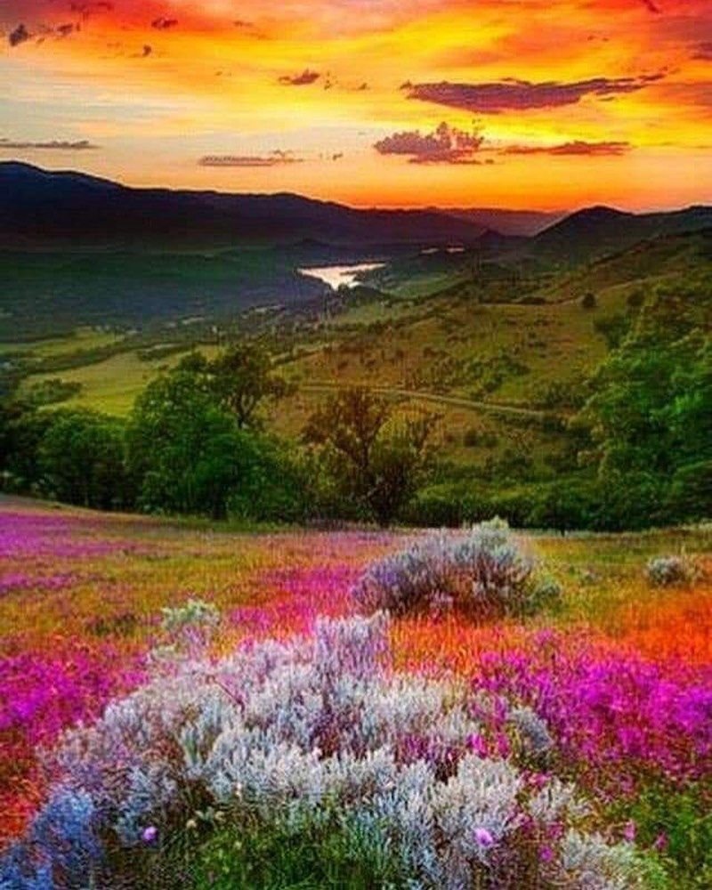 Яркая природа