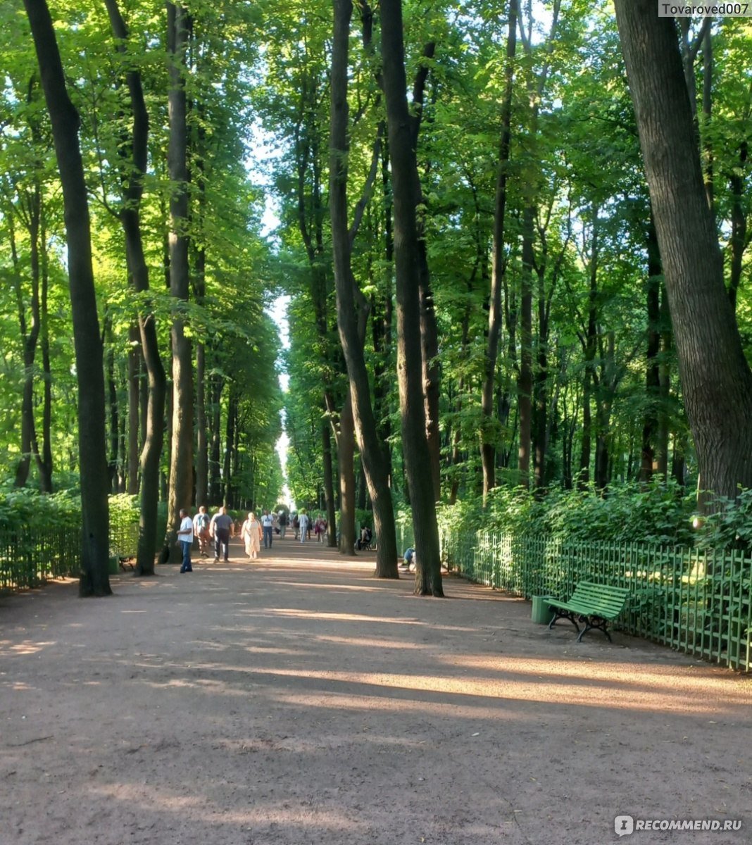 Скульптуры летнего сада в Санкт-Петербурге