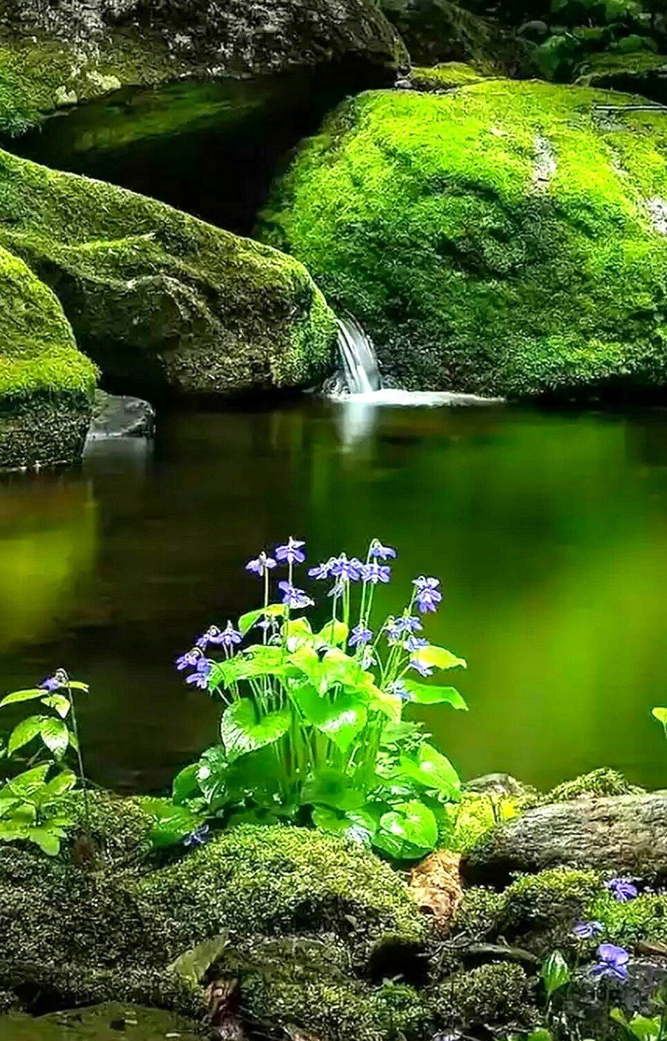 Красивая яркая природа
