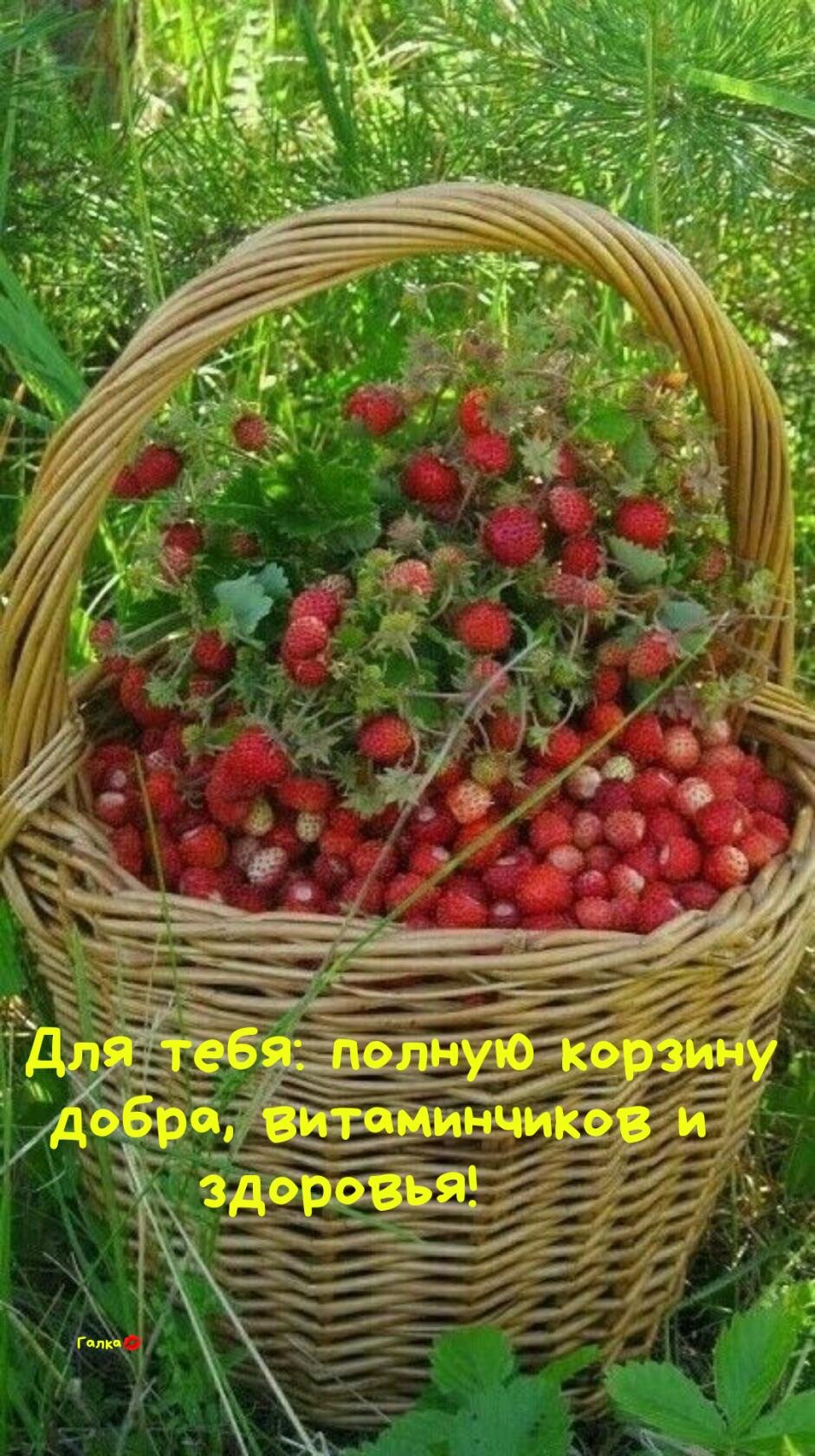 Ягодное лукошко