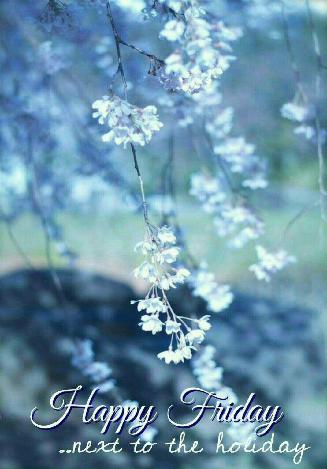 Природа в холодных тонах