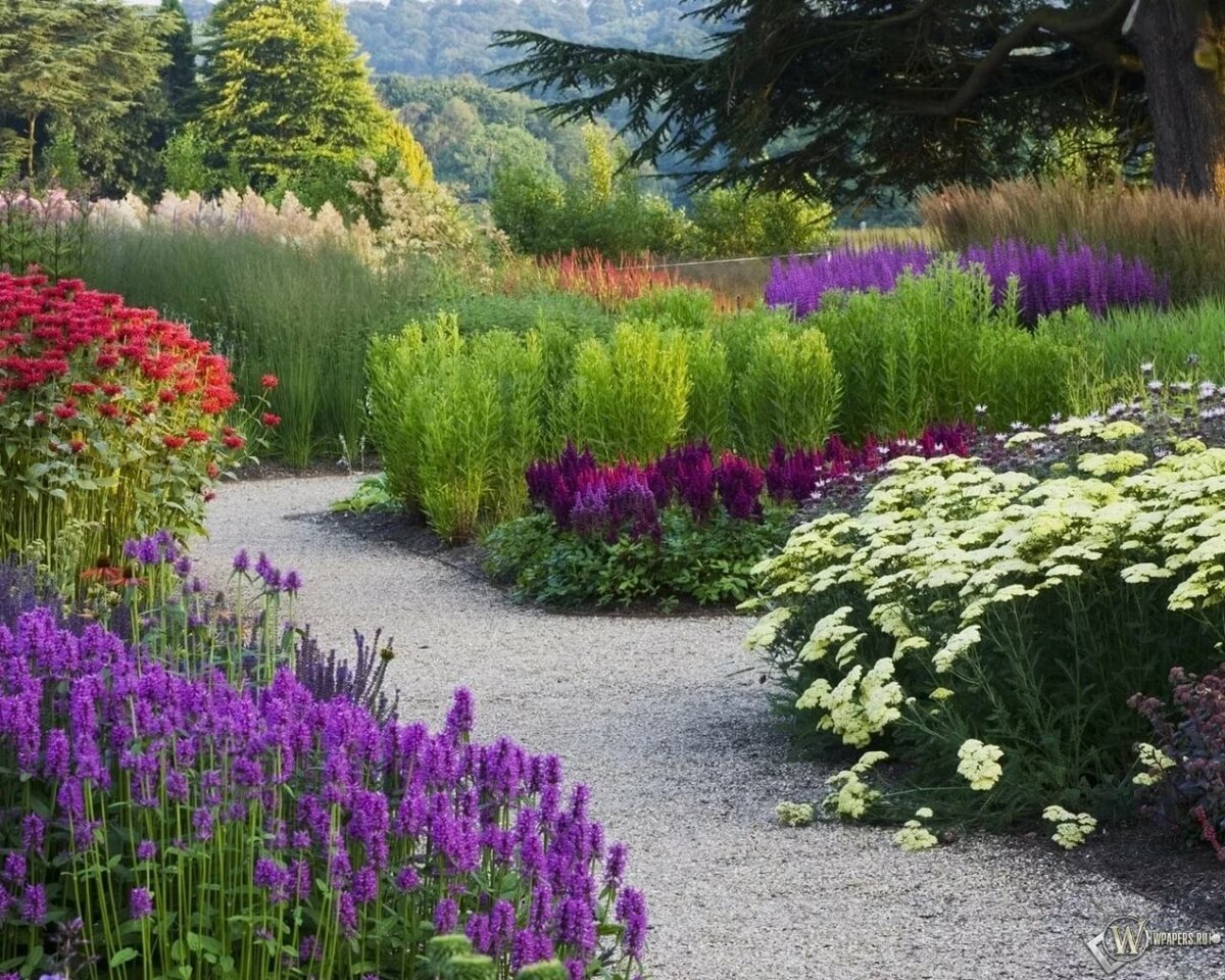 Russia has many beautiful Plants and Flowers and one of the prettiest