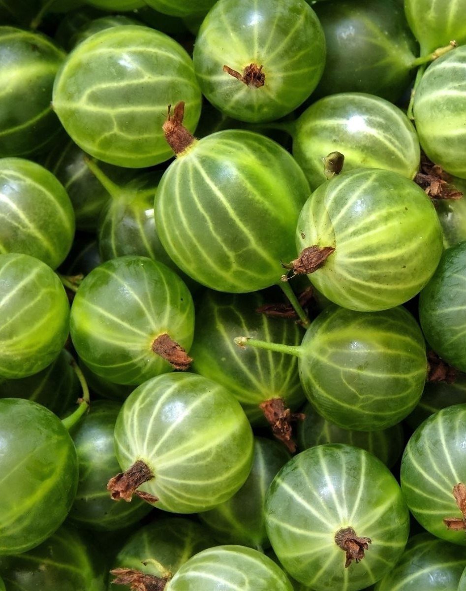 Оранжевый крыжовник