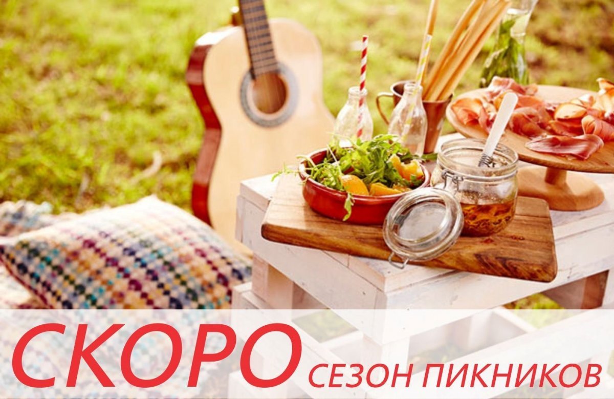 Гитара природа пикник