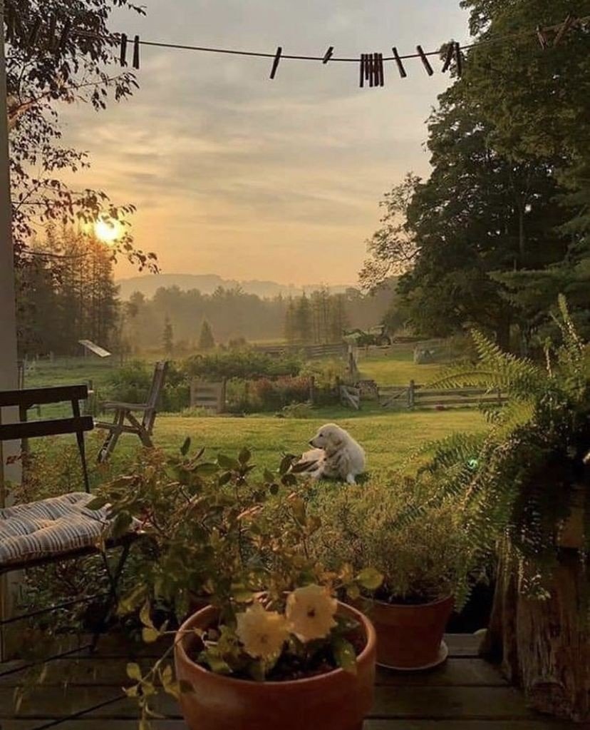 Cottage aesthetic деревня