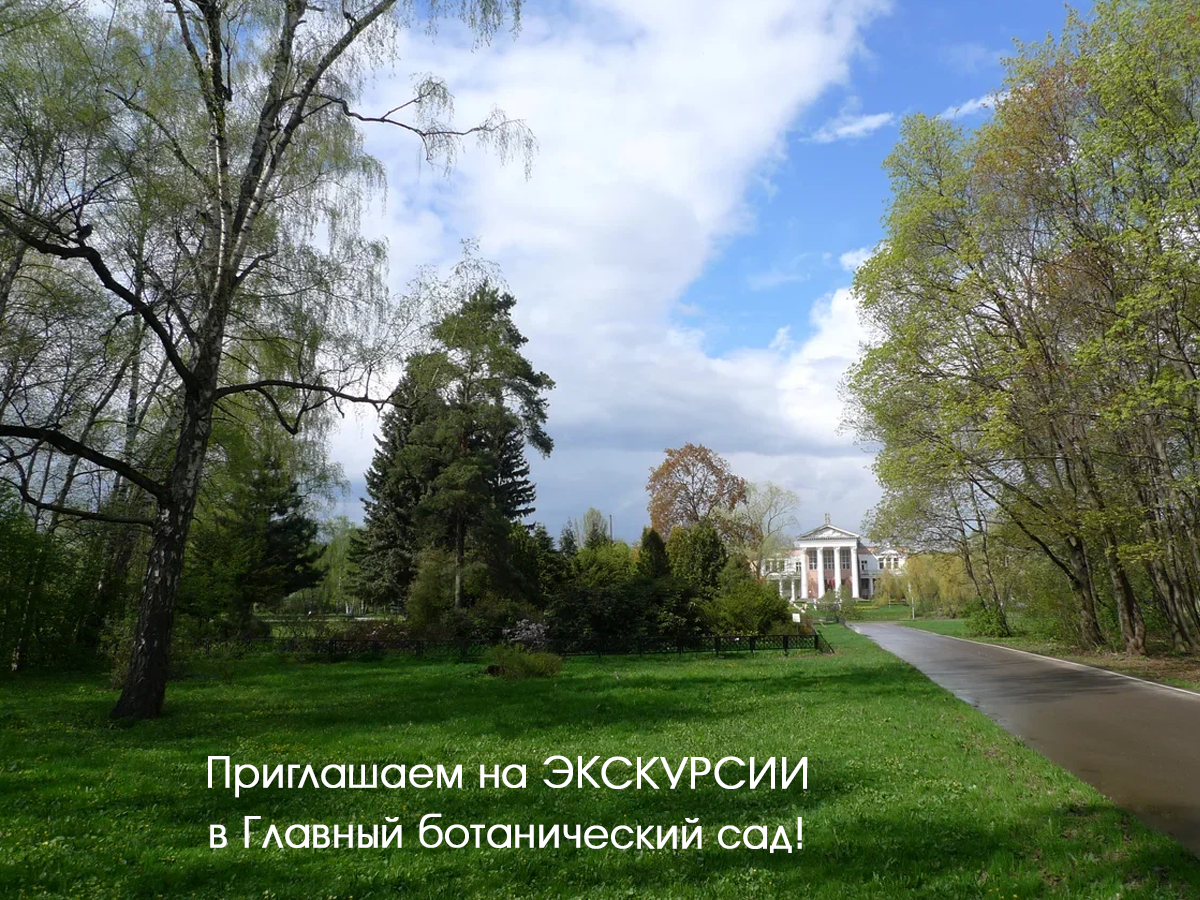 Участок в ботаническом саду