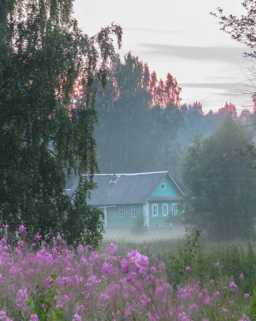 Деревня летом